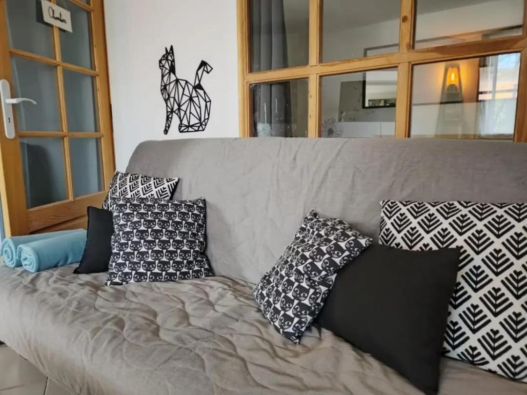 Le Nid Du Chat Noir - Maison Alveole Bed And Books 시에즈 외부 사진